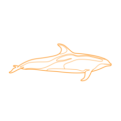 Animals Toothed Whales Pacific White Sided Dolphin Sketch Drawing Svg, Free Vectors File